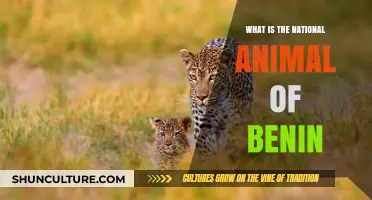 Exploring Benin's Wildlife: The Majestic National Animal Revealed