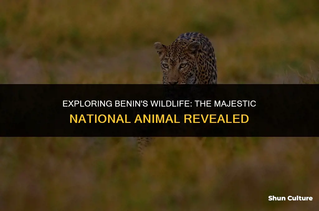 what is the national animal of benin