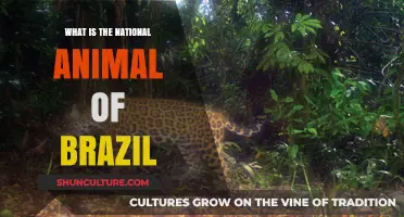 Discover Brazil's Majestic National Animal: The Jaguar's Symbolism and Significance