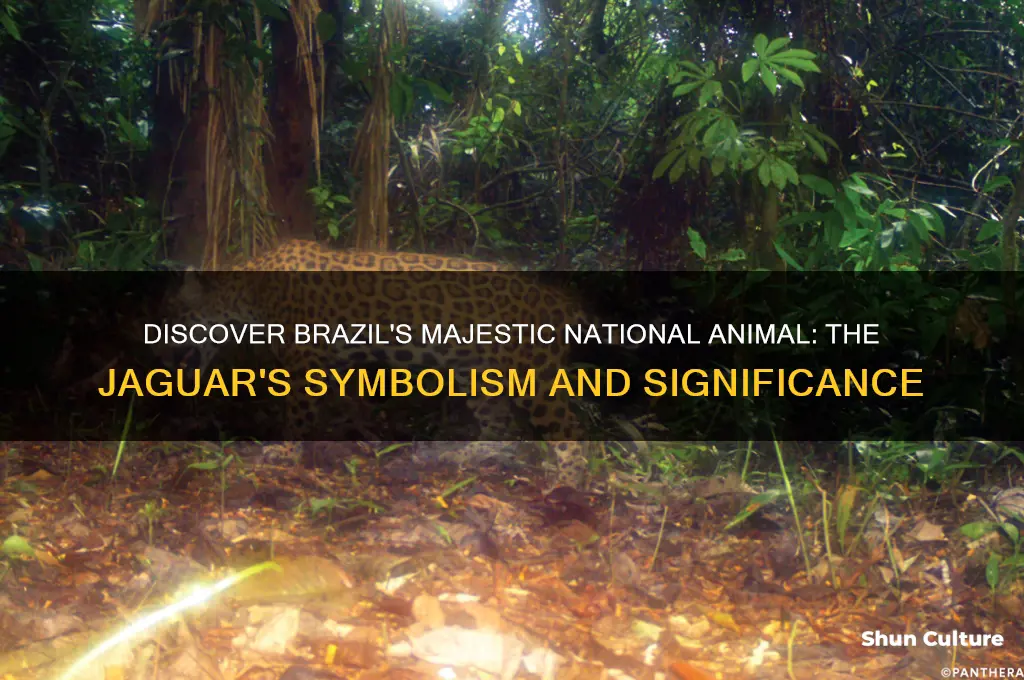 what is the national animal of brazil