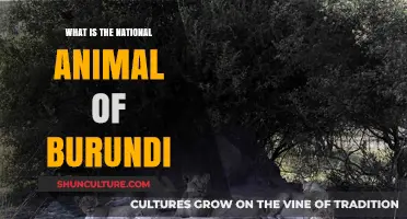Exploring Burundi's National Pride: The Majestic Lion