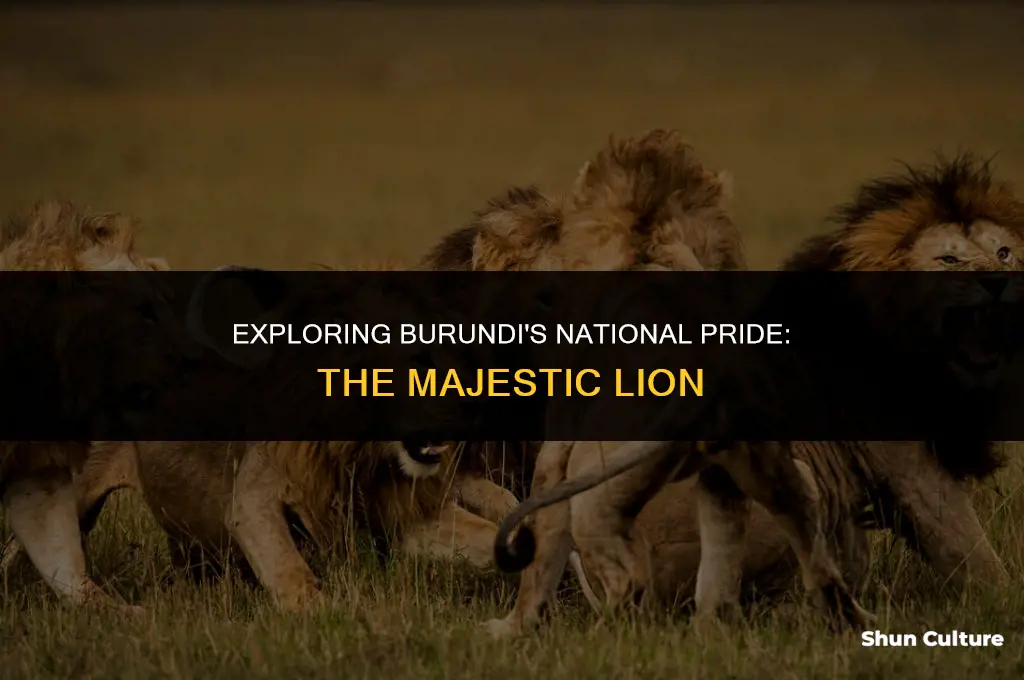 what is the national animal of burundi