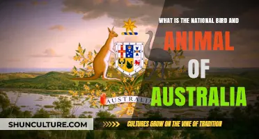 Australian Icons: Bird and Animal Symbols