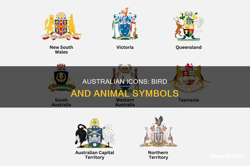 what is the national bird and animal of australia
