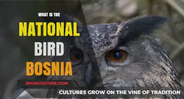 Discover Bosnia's National Bird: The Majestic Eagle Owl's Symbolism
