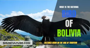 Exploring Bolivia's National Bird: A Symbol of Pride and Beauty