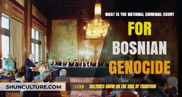 Understanding the International Criminal Tribunal for Bosnian Genocide Cases