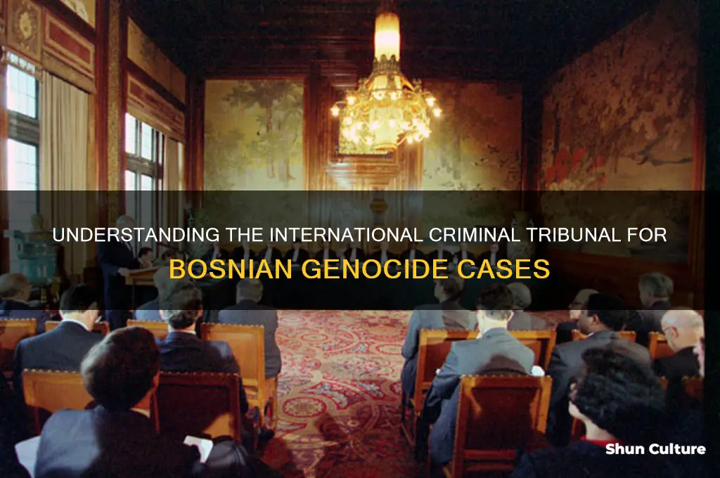 what is the national criminal court for bosnian genocide