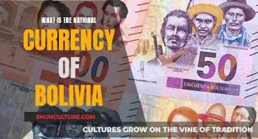 Exploring Bolivia's National Currency: The Bolivian Peso's Journey