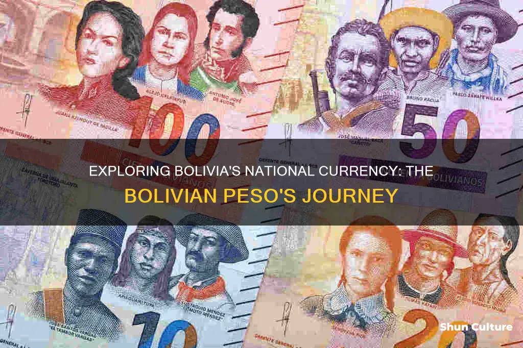 what is the national currency of bolivia