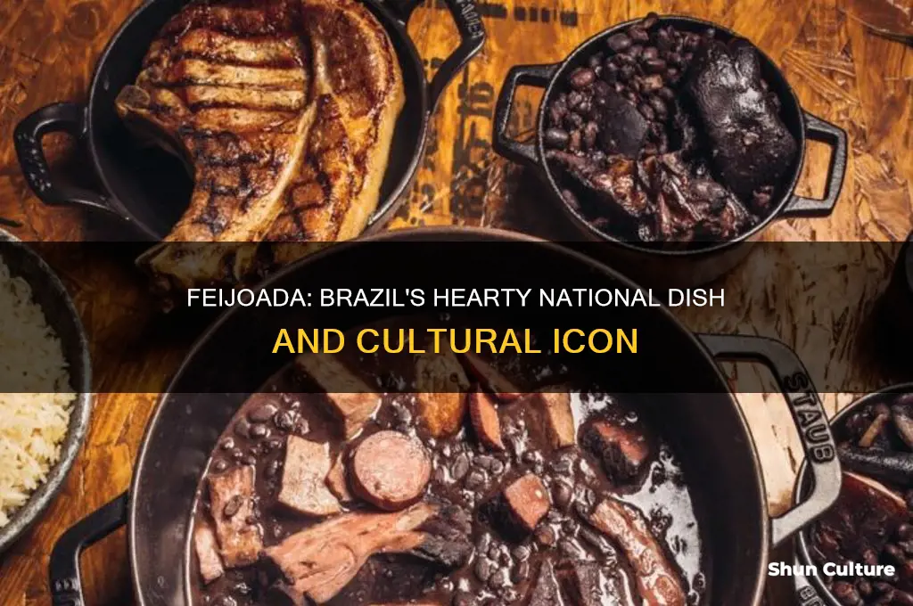 what is the national dish in brazil