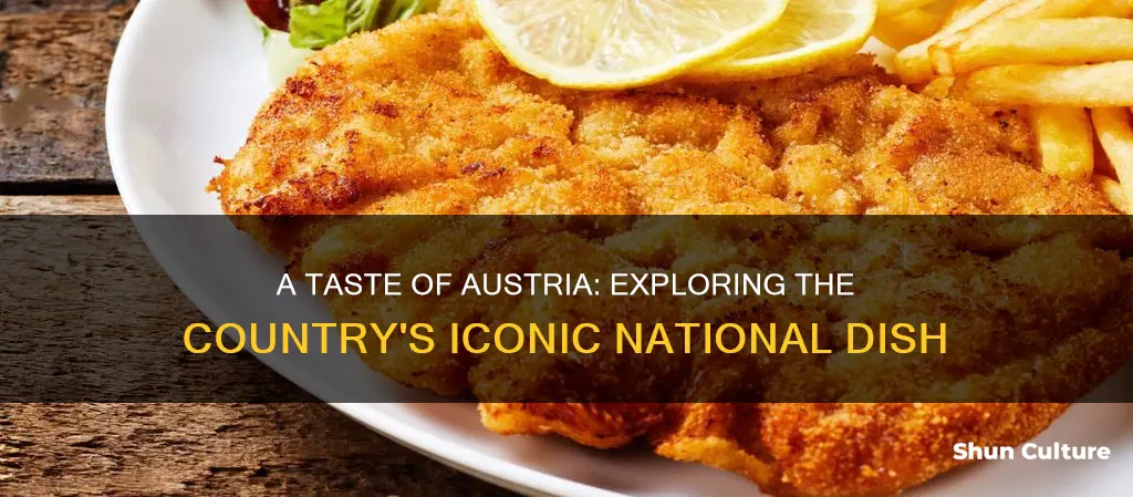 what is the national dish of austria