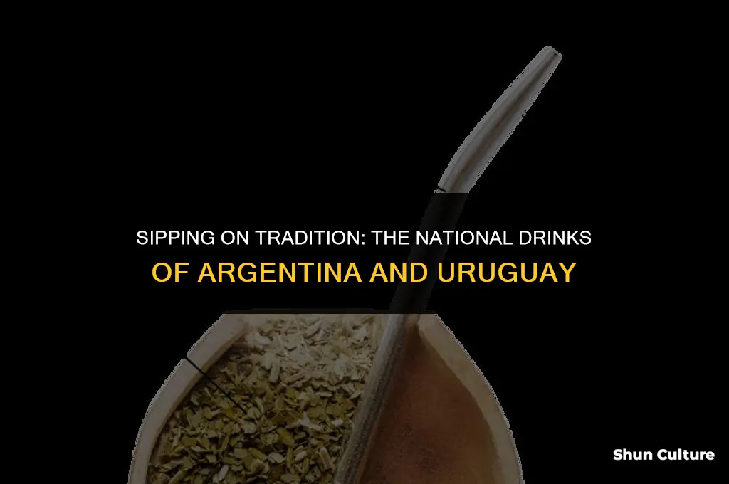 what is the national drink of argentina and uruguay