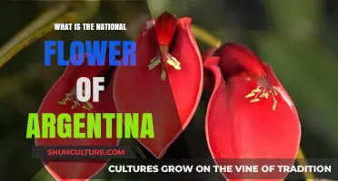 Exploring Argentina's National Flower: The Stunning Ceibo Blossom