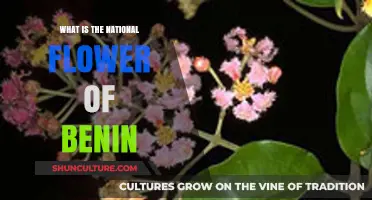 Exploring Benin's National Flower: A Symbol of Beauty and Heritage