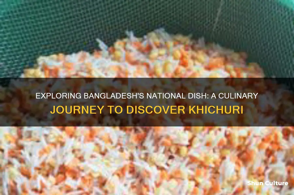 what is the national food for bangladesh