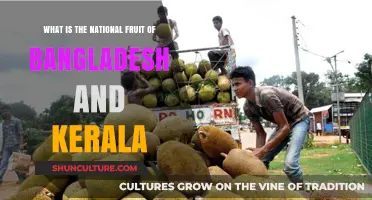 Exploring Bangladesh and Kerala's National Fruits: A Cultural Journey