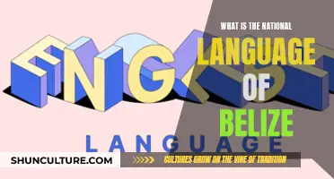 Belize's Official Language: A National Identity Marker