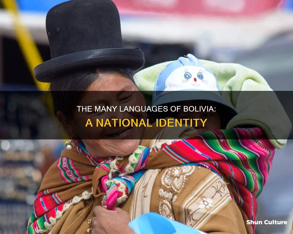 what is the national lanuage in bolivia