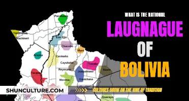 Exploring Bolivia's Official Languages and Their Cultural Significance