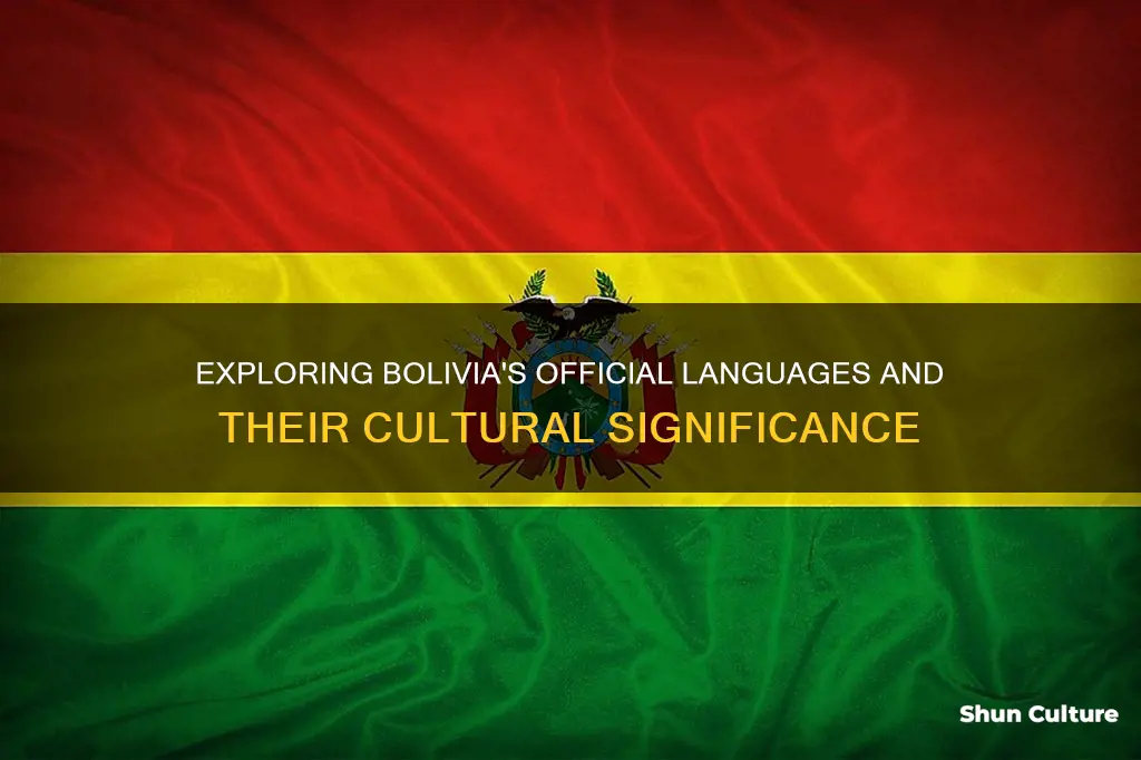 what is the national laugnague of bolivia