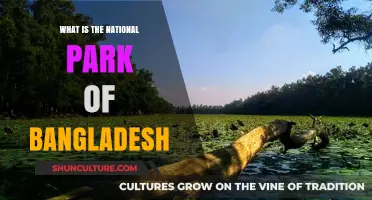 Exploring Bangladesh's National Park: A Natural Treasure Trove