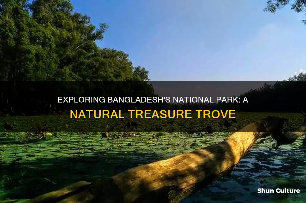 what is the national park of bangladesh