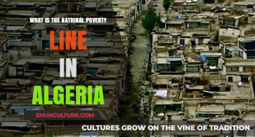 Understanding Algeria's National Poverty Line: Definition, Measurement, and Impact