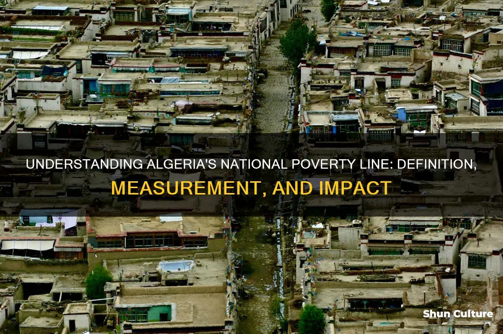 what is the national poverty line in algeria
