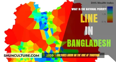 Understanding Bangladesh's National Poverty Line: Definition, Criteria, and Impact