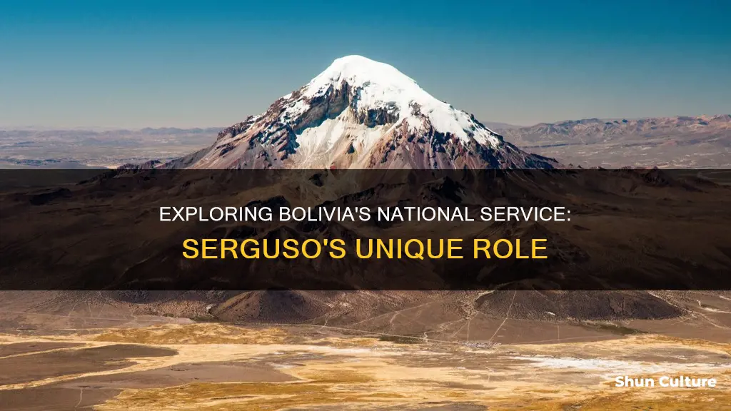 what is the national serguso in bolivia