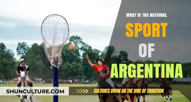 Exploring Argentina's Passion: The National Sport Revealed