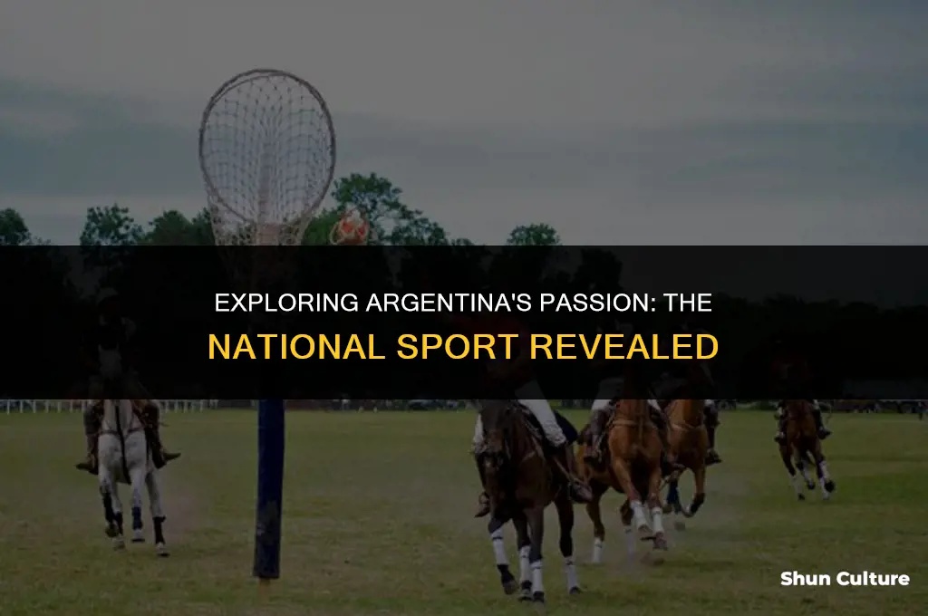 what is the national sport of argentina