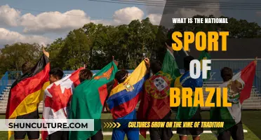 Brazil's National Sport: A Deep Dive into Football's Cultural Legacy