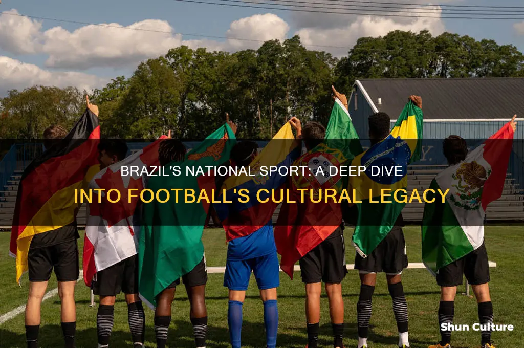 what is the national sport of brazil