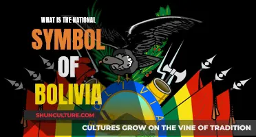 The National Symbol of Bolivia: A Cultural Icon Explored