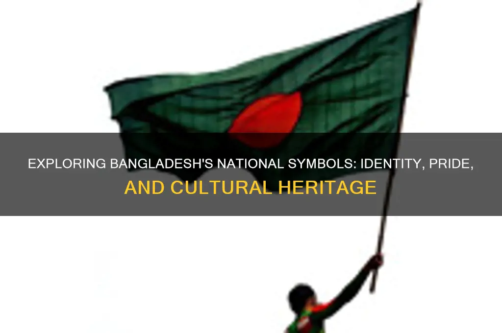 what is the national symbols of bangladesh