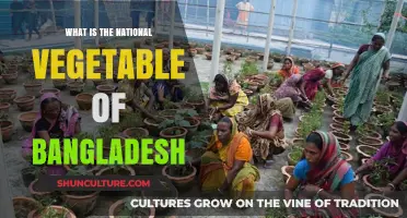 Discover Bangladesh's National Vegetable: A Cultural and Culinary Icon