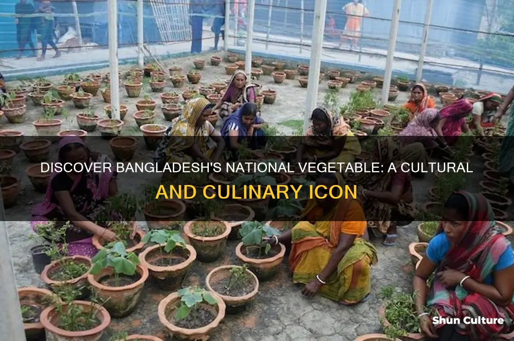 what is the national vegetable of bangladesh