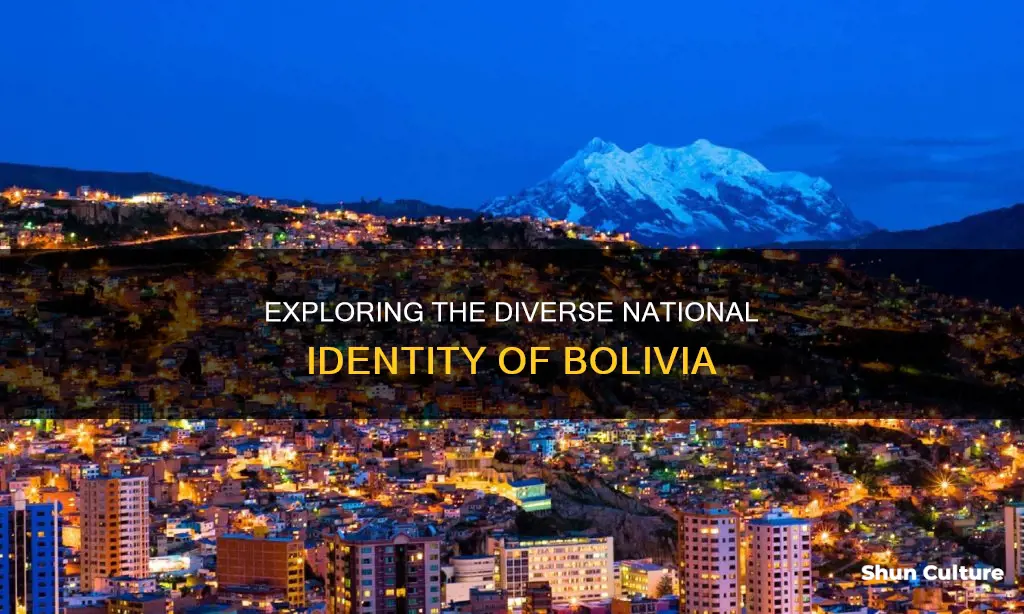 what is the nationality of bolivia