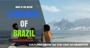 Exploring Brazil's Native Language: Portuguese and Its Cultural Significance