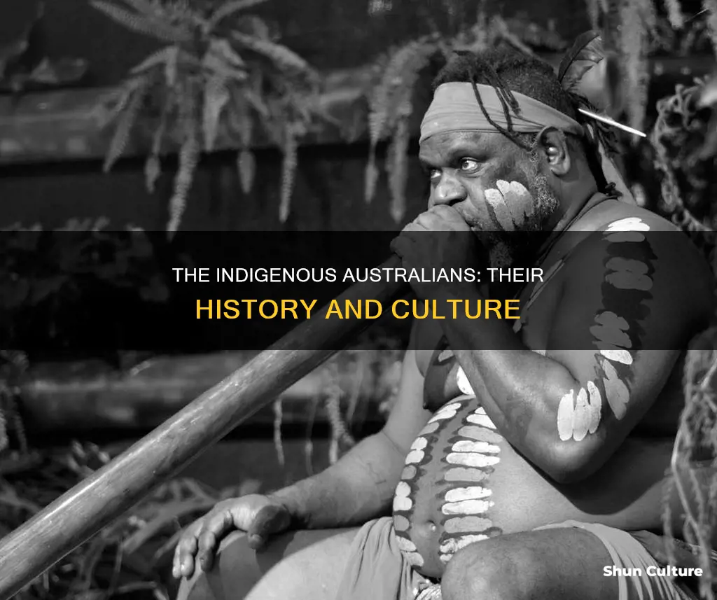 what is the native population of australia