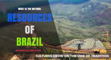 Exploring Brazil's Abundant Natural Resources: A Comprehensive Overview