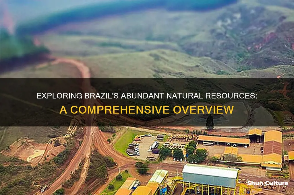 what is the natural resources of brazil