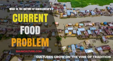Bangladesh's Food Crisis: Unraveling the Complex Nature of Current Challenges