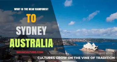 Exploring Sydney's Nearest Rainforest: A Tropical Escape Close to Home