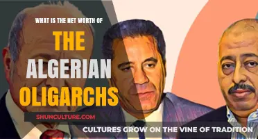 Exploring the Wealth: Net Worth of Algerian Oligarchs Revealed