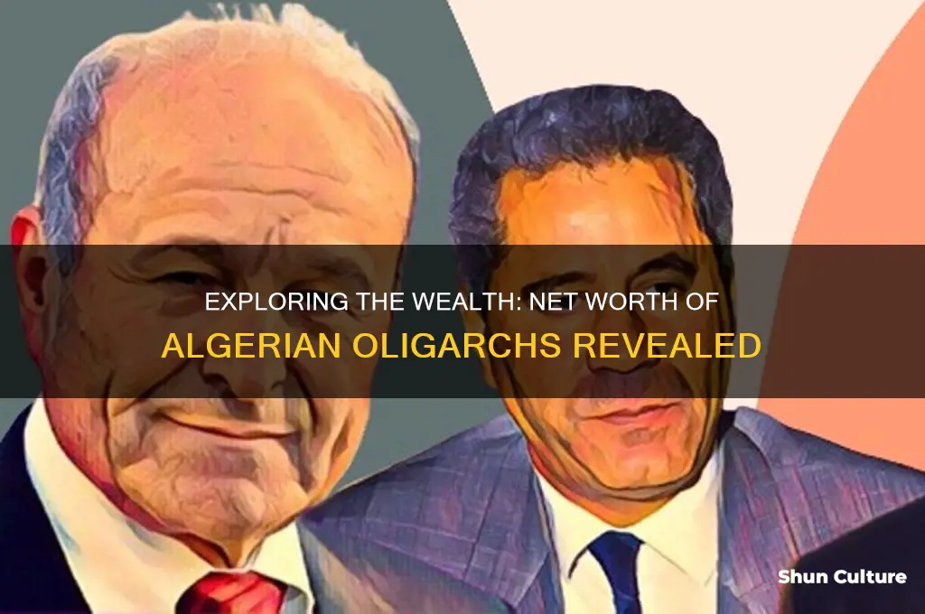 what is the net worth of the algerian oligarchs