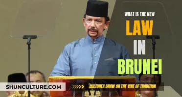 Brunei's New Sharia Penal Code: Understanding the Changes