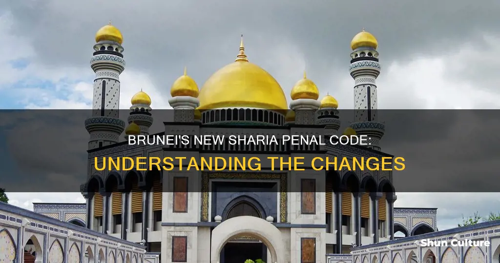 what is the new law in brunei